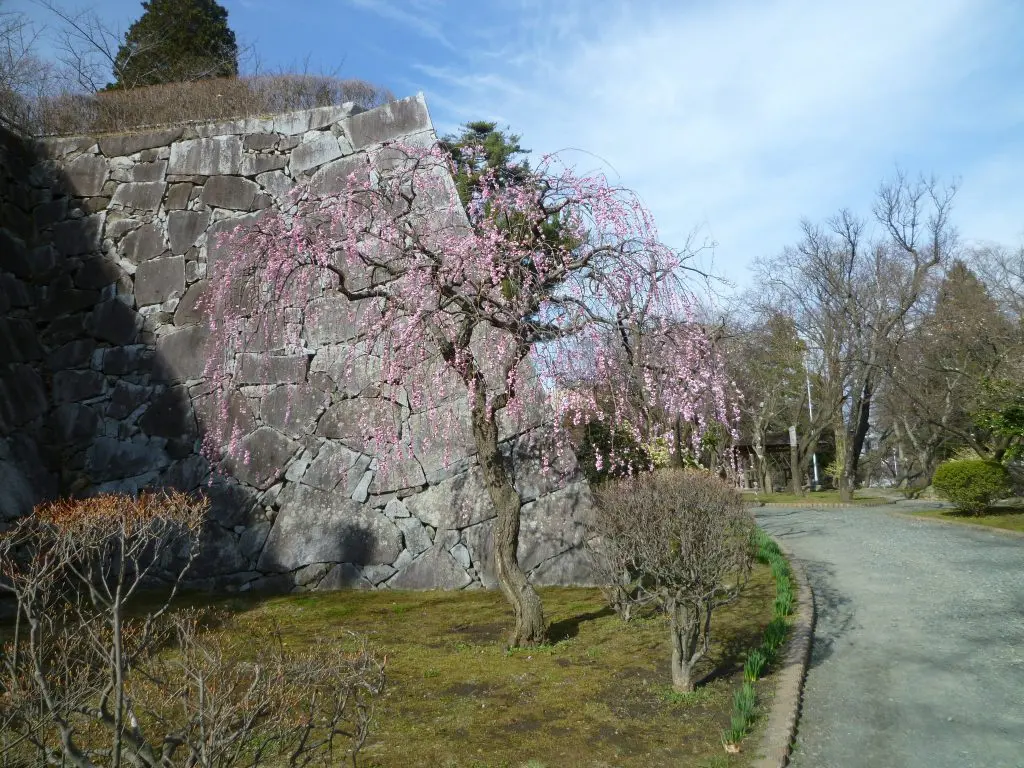 盛岡城跡公園