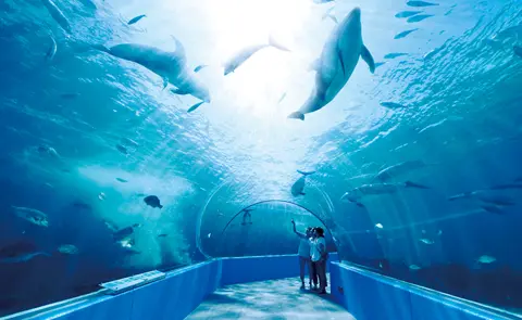 のとじま水族館