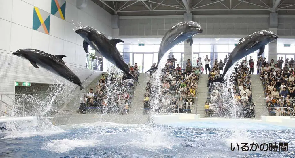 いおワールド かごしま水族館