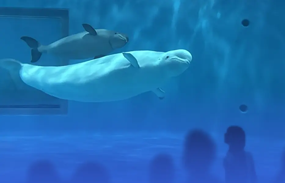 島根デートスポット アクアス