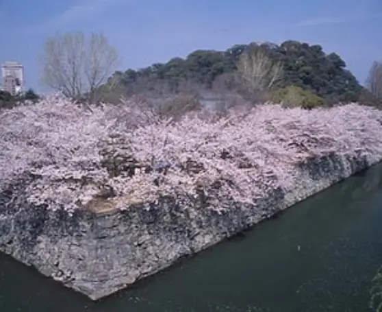 徳島中央公園