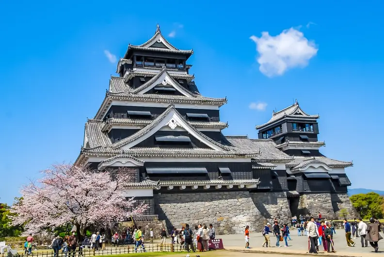 熊本城と桜